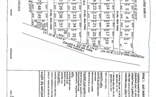 Sheeba Nagar
